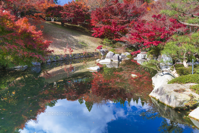 紅葉の三景園
(c)YOSHITSUGU NISHIGAKI/SEBUN PHOTO