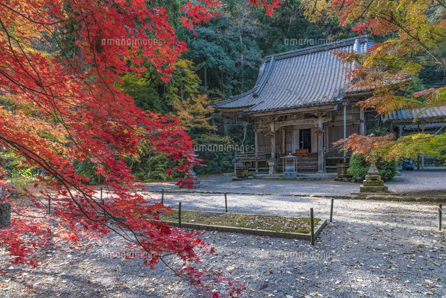 紅葉の龍華寺
(c)YOSHITSUGU NISHIGAKI/SEBUN PHOTO