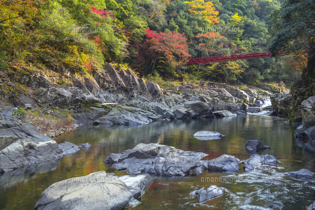 秋の長門峡
(c)YOSHITSUGU NISHIGAKI/SEBUN PHOTO