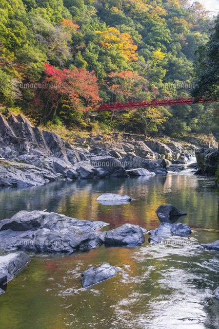 秋の長門峡
(c)YOSHITSUGU NISHIGAKI/SEBUN PHOTO