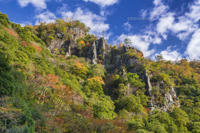 秋の長門峡
(c)YOSHITSUGU NISHIGAKI/SEBUN PHOTO