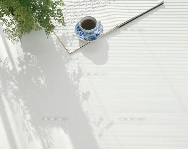 白いテーブルの上の観葉植物と本とコーヒー
(c)NORIKAZU KATSUI/orion