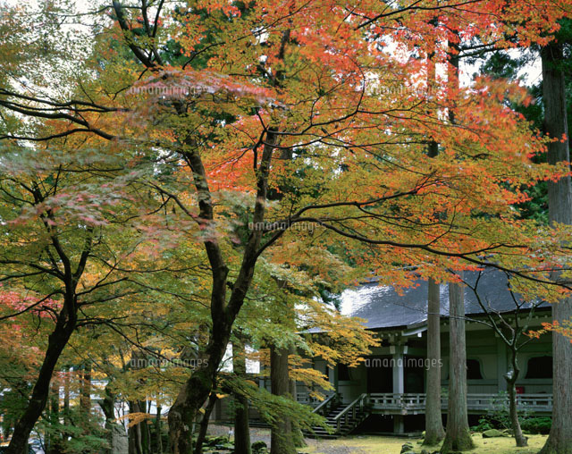 秋の永平寺 福井県
(c)NORIKAZU KATSUI/orion