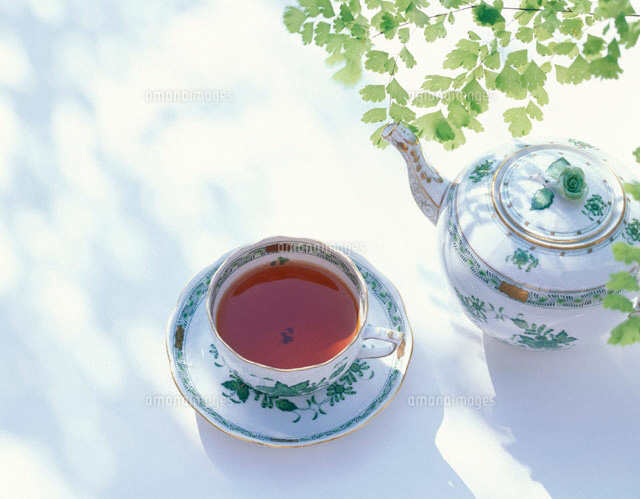 紅茶とティーポットと観葉植物
(c)NORIKAZU KATSUI/orion