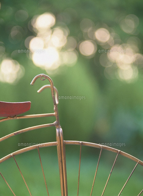自転車(部分)
(c)NORIKAZU KATSUI/orion