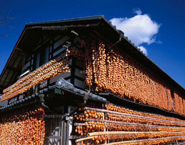 軒先のつるし柿 塩山市 山梨県
(c)NORIKAZU KATSUI/SEBUN PHOTO