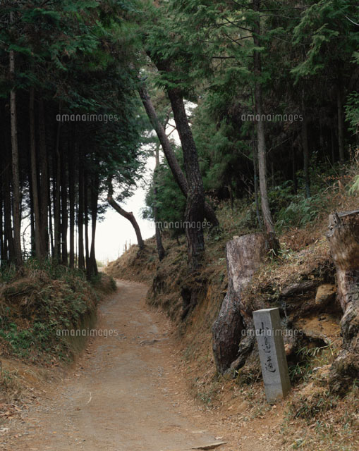 山辺の道 小林秀雄筆の石碑の道 奈良県
(c)IKUO NONAKA/SEBUN PHOTO