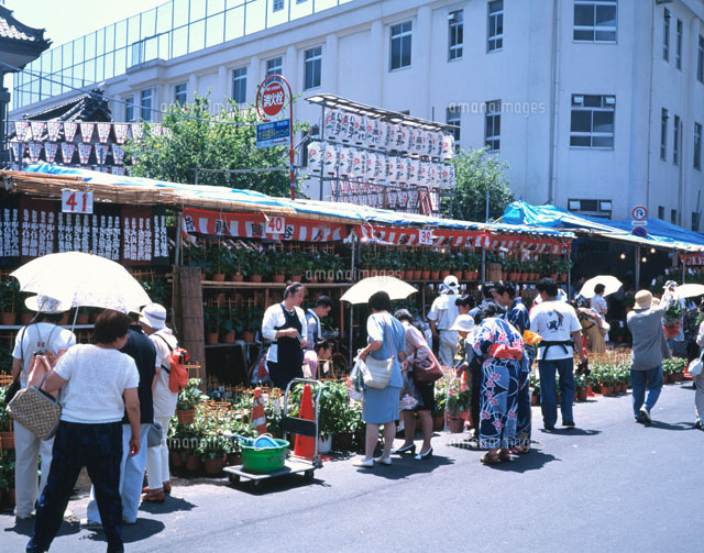 朝顔市
(c)IKUO NONAKA/SEBUN PHOTO