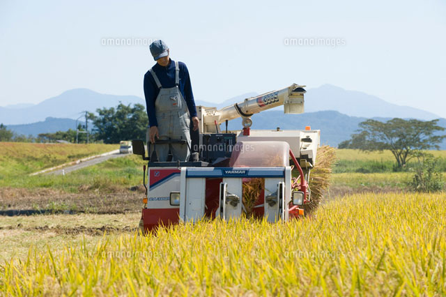 稲刈りをする男性
(c)NIIGATA PHOTO LIBRARY/SEBUN PHOTO