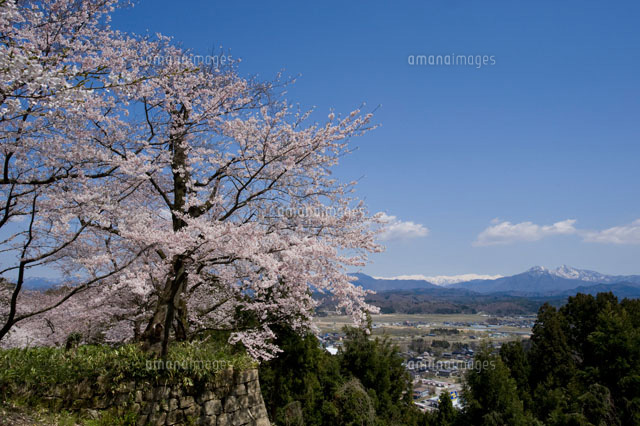 村上城跡の桜
(c)NIIGATA PHOTO LIBRARY/SEBUN PHOTO