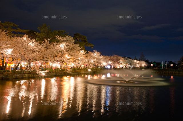 高田公園の夜桜
(c)NIIGATA PHOTO LIBRARY/SEBUN PHOTO