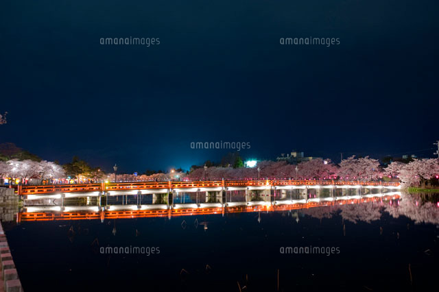高田公園の夜桜
(c)NIIGATA PHOTO LIBRARY/SEBUN PHOTO