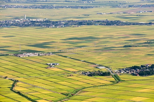 田園風景
(c)NIIGATA PHOTO LIBRARY/SEBUN PHOTO