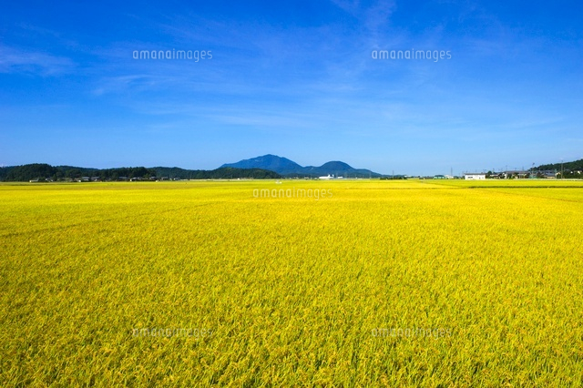 田園風景
(c)NIIGATA PHOTO LIBRARY/SEBUN PHOTO