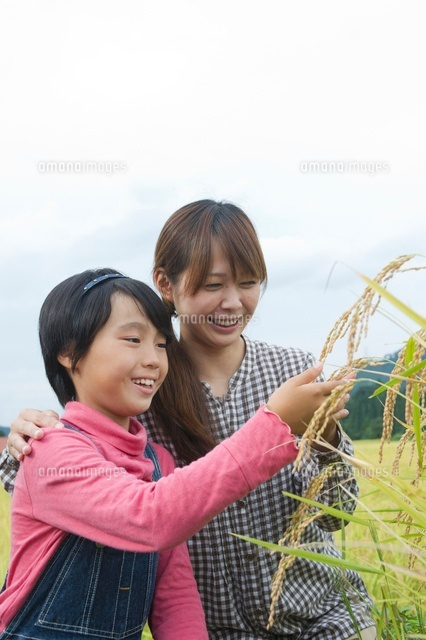 農業体験をする親子
(c)NIIGATA PHOTO LIBRARY/SEBUN PHOTO