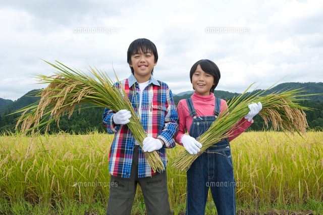 農業体験をする子供
(c)NIIGATA PHOTO LIBRARY/SEBUN PHOTO
