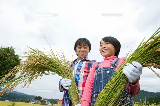 農業体験をする子供
(c)NIIGATA PHOTO LIBRARY/SEBUN PHOTO