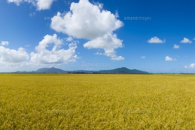 田園風景と山
(c)NIIGATA PHOTO LIBRARY/SEBUN PHOTO