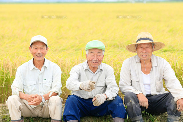 農家のシニア男性
(c)NIIGATA PHOTO LIBRARY/SEBUN PHOTO