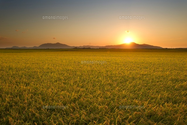 田園風景と山と夕日
(c)NIIGATA PHOTO LIBRARY/SEBUN PHOTO