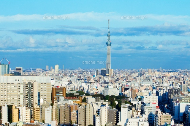 東京スカイツリー
(c)NIIGATA PHOTO LIBRARY/SEBUN PHOTO