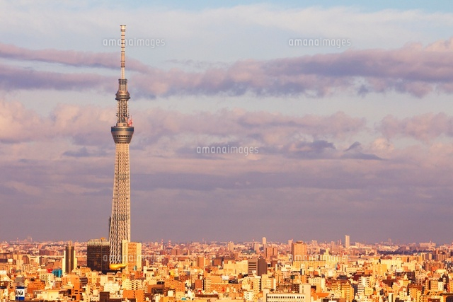 東京スカイツリー
(c)NIIGATA PHOTO LIBRARY/SEBUN PHOTO