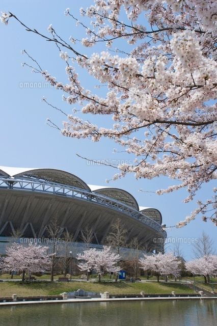 東北電力ビッグスワンスタジアムと桜
(c)NIIGATA PHOTO LIBRARY/SEBUN PHOTO