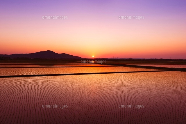 夕景の水田
(c)NIIGATA PHOTO LIBRARY/SEBUN PHOTO