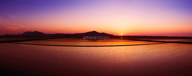 夕景の水田
(c)NIIGATA PHOTO LIBRARY/SEBUN PHOTO