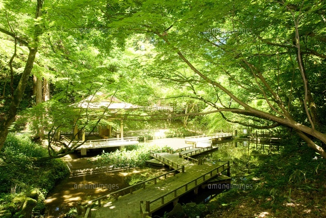 新緑の加茂山公園
(c)NIIGATA PHOTO LIBRARY/SEBUN PHOTO
