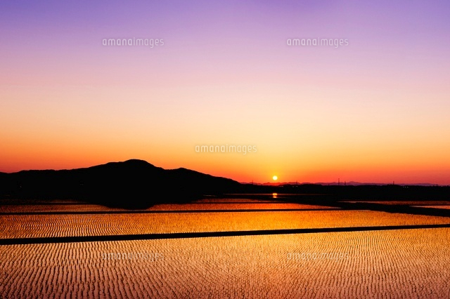 夕景の水田
(c)NIIGATA PHOTO LIBRARY/SEBUN PHOTO