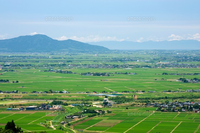 青々とした水田と街並み
(c)NIIGATA PHOTO LIBRARY/SEBUN PHOTO