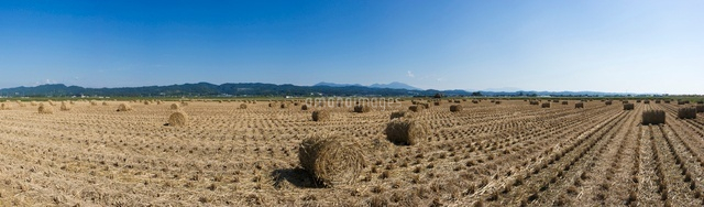 刈り取った後の田園風景
(c)NIIGATA PHOTO LIBRARY/SEBUN PHOTO