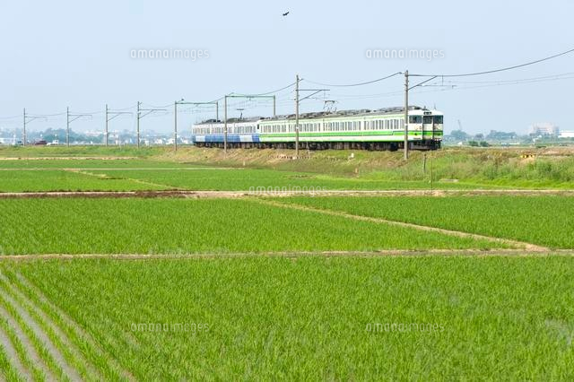 電車と田園風景
(c)NIIGATA PHOTO LIBRARY/SEBUN PHOTO