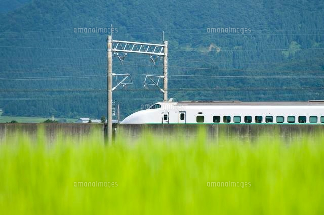 新緑の中を走る上越新幹線
(c)NIIGATA PHOTO LIBRARY/SEBUN PHOTO