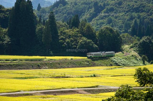 秋の田園風景の中を走る電車
(c)NIIGATA PHOTO LIBRARY/SEBUN PHOTO
