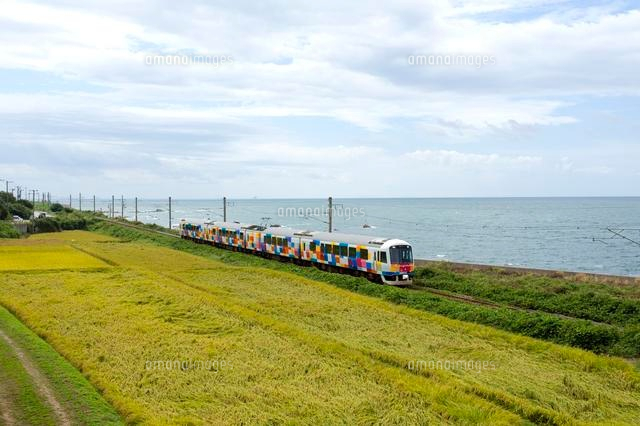 秋の田園風景の中を走る電車
(c)NIIGATA PHOTO LIBRARY/SEBUN PHOTO