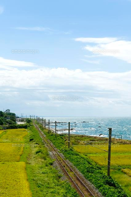 秋の田園風景の中の線路
(c)NIIGATA PHOTO LIBRARY/SEBUN PHOTO