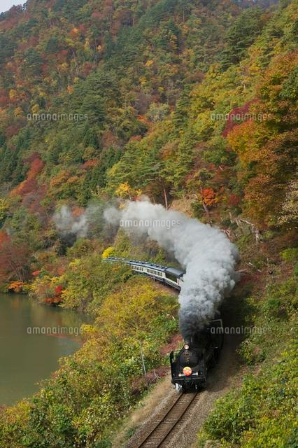 紅葉の中を走るSL
(c)NIIGATA PHOTO LIBRARY/SEBUN PHOTO