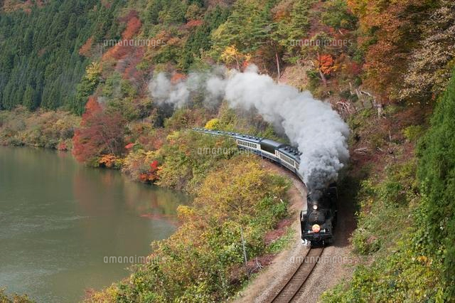 紅葉の中を走るSL
(c)NIIGATA PHOTO LIBRARY/SEBUN PHOTO