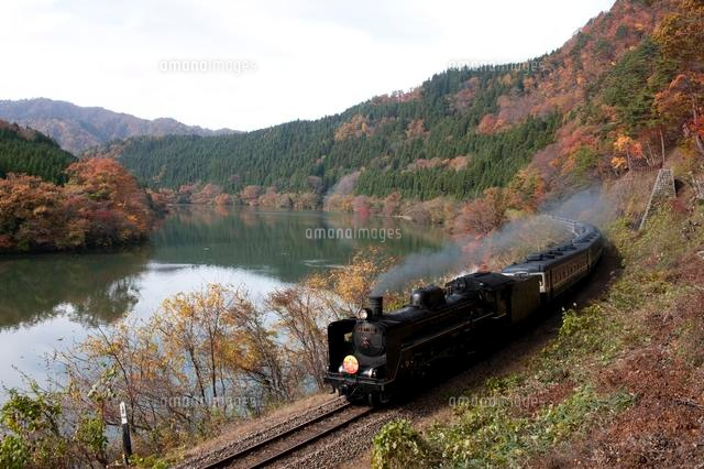 紅葉の中を走るSL
(c)NIIGATA PHOTO LIBRARY/SEBUN PHOTO