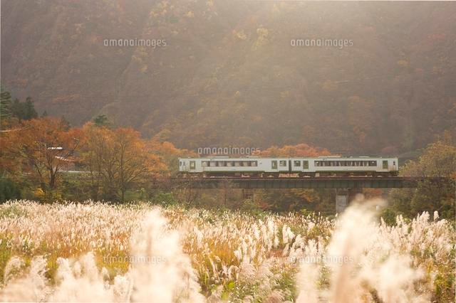 紅葉の中を走る電車
(c)NIIGATA PHOTO LIBRARY/SEBUN PHOTO