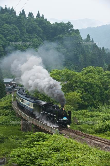新緑の中を走るSL
(c)NIIGATA PHOTO LIBRARY/SEBUN PHOTO