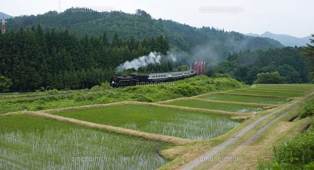 SLと水田
(c)NIIGATA PHOTO LIBRARY/SEBUN PHOTO