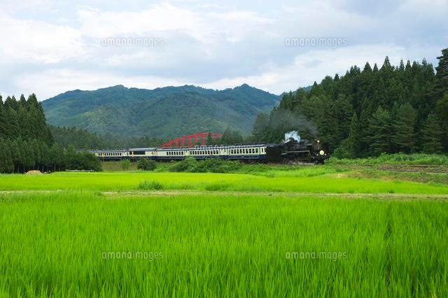 田園風景とSL
(c)NIIGATA PHOTO LIBRARY/SEBUN PHOTO