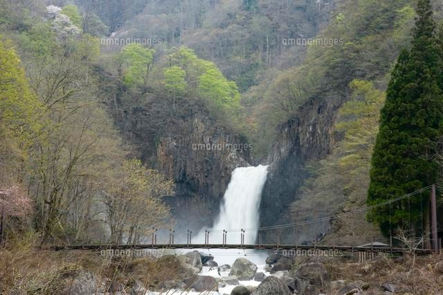 春の苗名滝
(c)NIIGATA PHOTO LIBRARY/SEBUN PHOTO