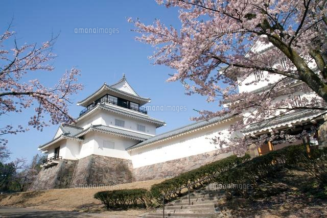 長岡市郷土資料館と桜
(c)NIIGATA PHOTO LIBRARY/SEBUN PHOTO