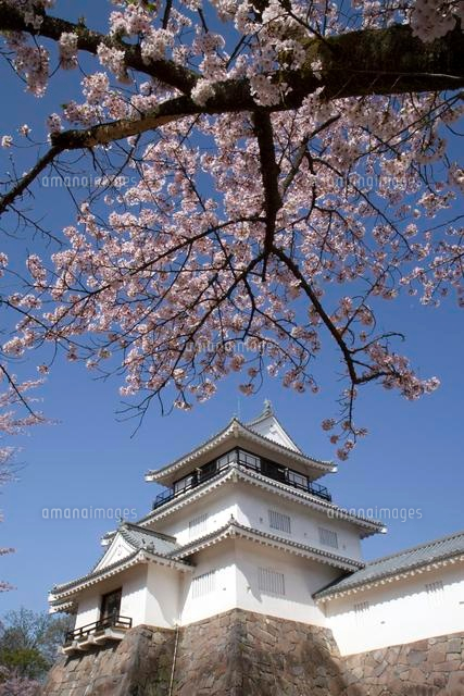 長岡市郷土資料館と桜
(c)NIIGATA PHOTO LIBRARY/SEBUN PHOTO