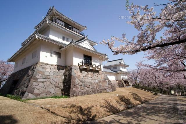 長岡市郷土資料館と桜
(c)NIIGATA PHOTO LIBRARY/SEBUN PHOTO