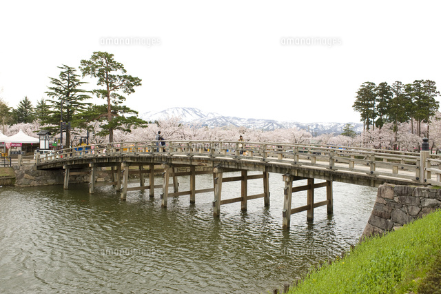 桜と極楽橋
(c)NIIGATA PHOTO LIBRARY/SEBUN PHOTO